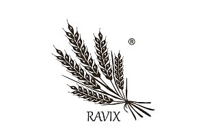 ravix logo.jpg